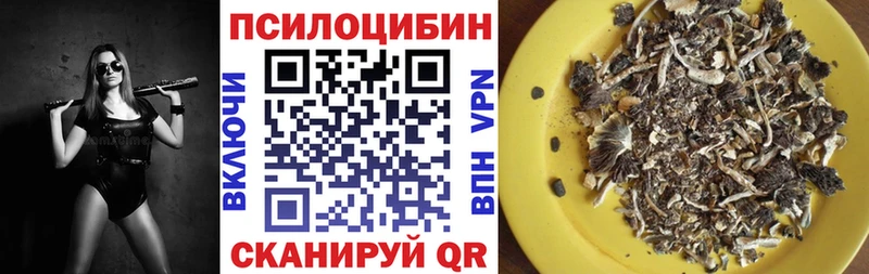 Галлюциногенные грибы MAGIC MUSHROOMS  Купино 